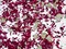 Natural Dried Flower Petals Party Confetti, 12 Packs Real Rose Petals for Wedding, Party Decoration